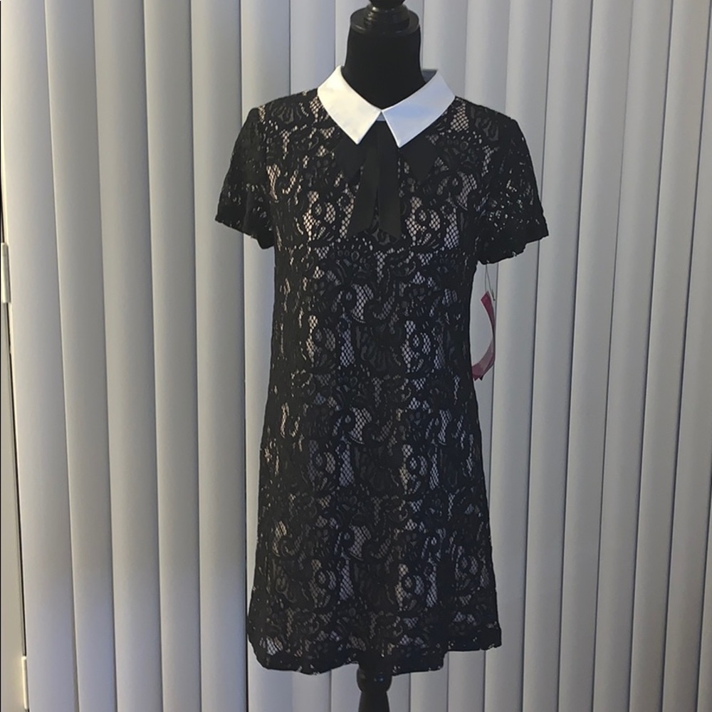Betsey Johnson Collared Lace Shift Dress - Picture 4 of 9